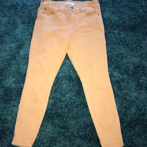 Torrid mustard yellow jeans